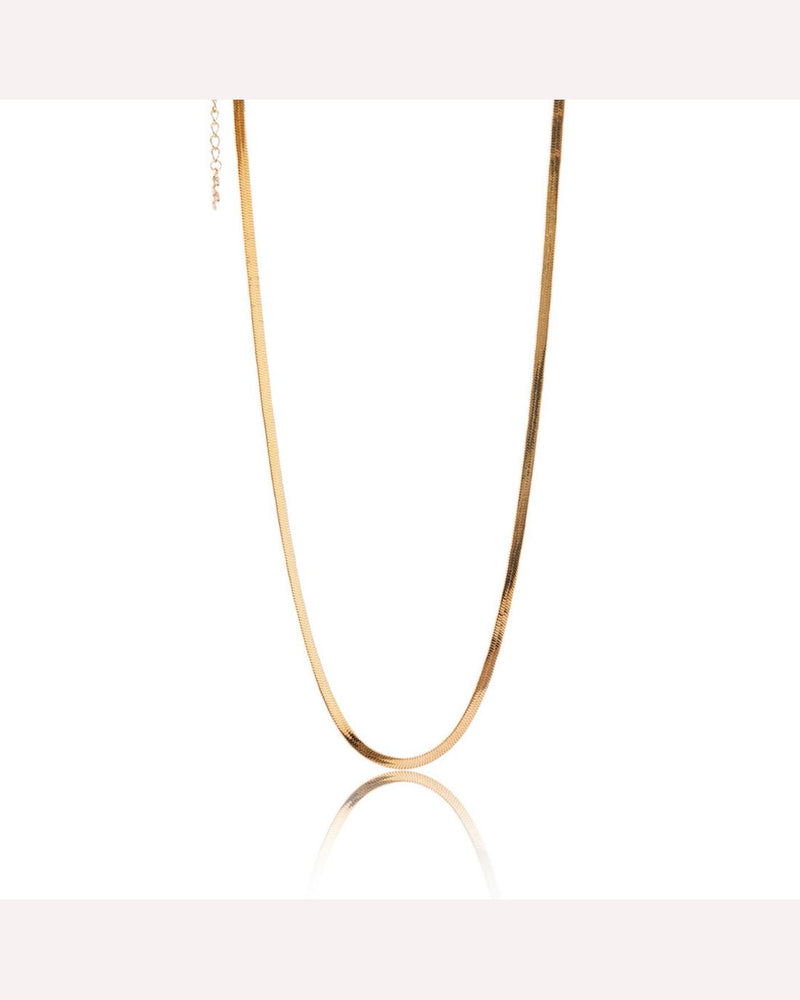 ever-jewellery-sidewalk-chain-necklace-gold